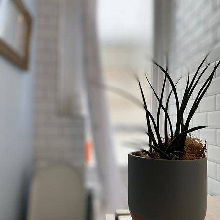 Charming 1 Bedroom Edinburgh Apartment 外观 照片