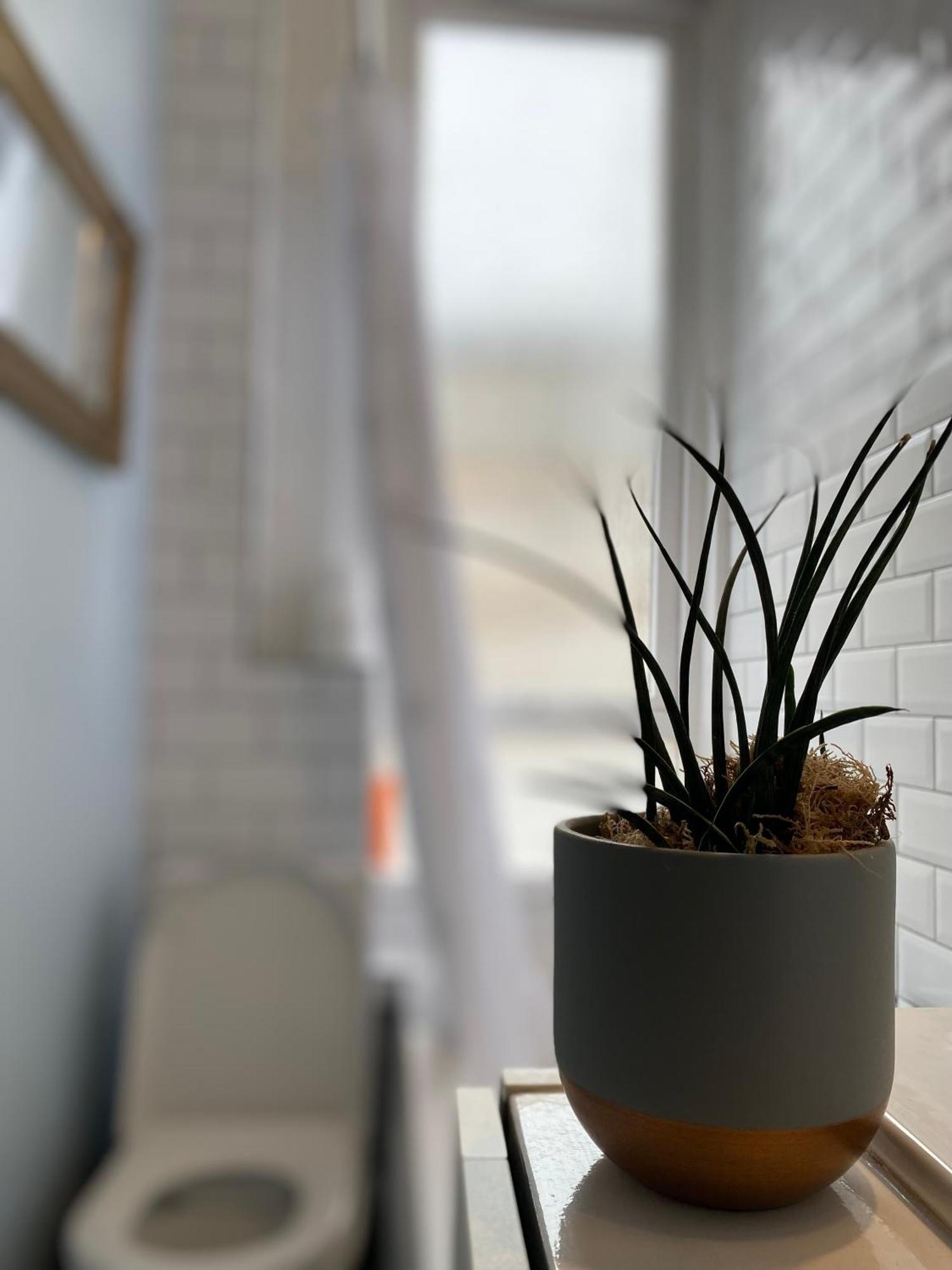 Charming 1 Bedroom Edinburgh Apartment 外观 照片